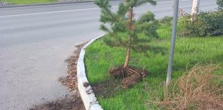 Фото Администрации Абакана