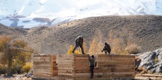 Праздник работника сельского хозяйства. Фото из телеграм-канала Владислава Ховалыга.