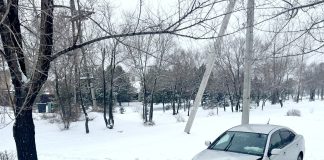 Фото ГИБДД