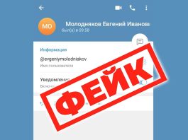 Фейковый аккаунт, о котором предупредил Евгений Молодняков