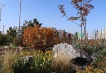 Фото Администрации Абакана