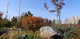 Фото Администрации Абакана