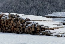 Лес. Пиломатериал. Лесозаготовки. Фото: pulse19.ru