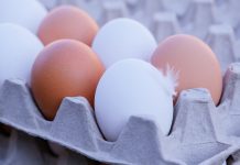 Куриное яйцо. Изображение из фотобанка