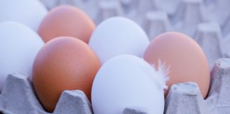 Куриное яйцо. Изображение из фотобанка