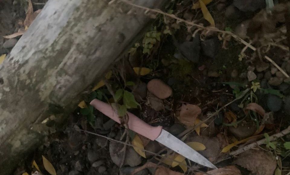 Фото ГСУ СК по Красноярскому краю Фото ГСУ СК по Красноярскому краю