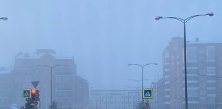 Фото из телеграм-канала Минприроды РХ