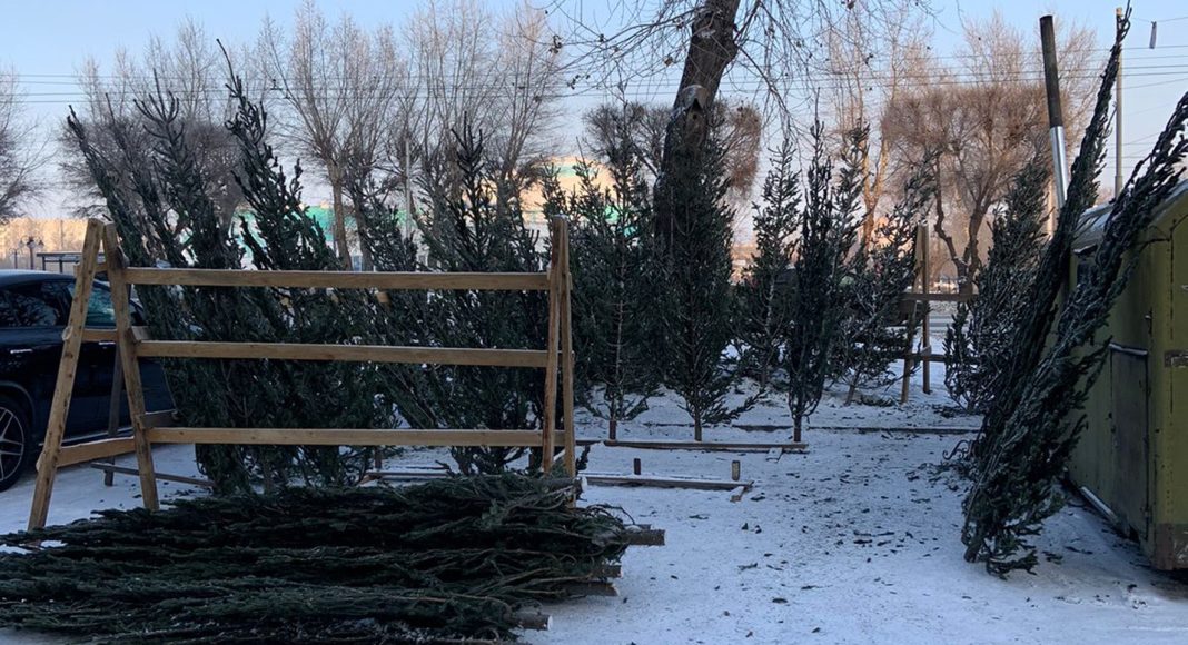 Фото МВД Фото МВД