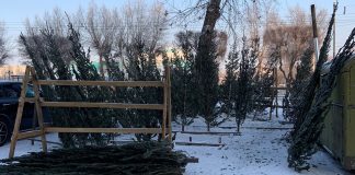 Фото МВД