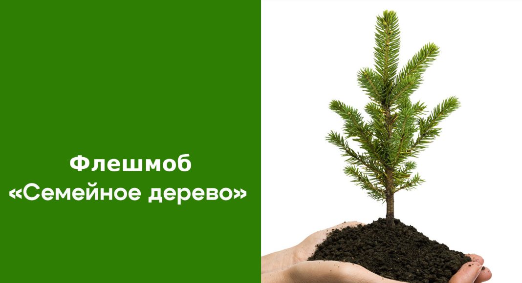 Фото предоставлено пресс-службой Минлеса РХ