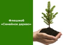 Фото предоставлено пресс-службой Минлеса РХ