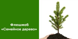 Фото предоставлено пресс-службой Минлеса РХ
