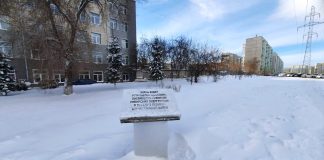 Фото предоставлено пресс-службой «Россети Сибирь»