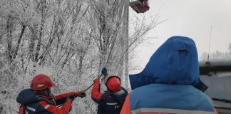 Фото пресс-службы «Россети Сибирь»