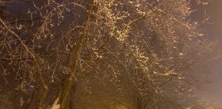 Фото из телеграм-канала Минприроды РХ