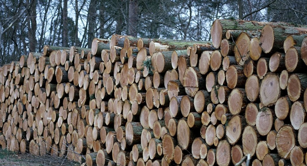 Лес. Заготовка древесины