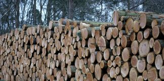 Лес. Заготовка древесины