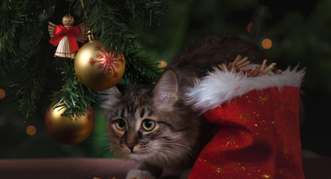 Новый год. Изображение из фотобанка