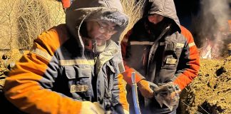 Фото Россети Сибирь