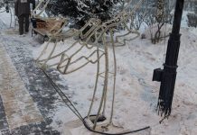 Фото: «Абаканское парковое хозяйство»