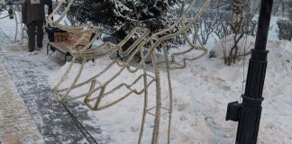 Фото: «Абаканское парковое хозяйство»