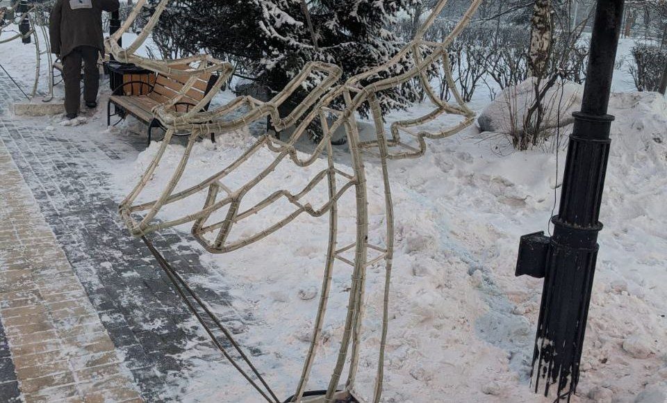 Фото: «Абаканское парковое хозяйство»