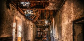 Стагнация. Разруха. Хаос. Застой