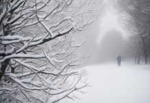 Снег и ветер. Изображение: Kandinsky