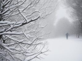Снег и ветер. Изображение: Kandinsky