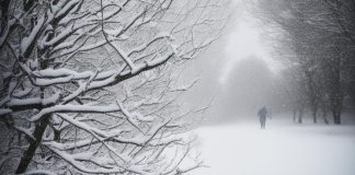 Снег и ветер. Изображение: Kandinsky