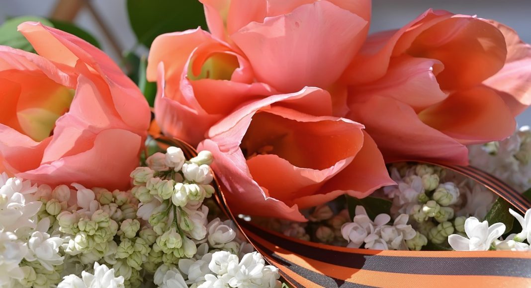 Победа. Поздравления. Цветы. Картинка из фотобанка Победа. Поздравления. Цветы. Картинка из фотобанка