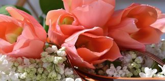 Победа. Поздравления. Цветы. Картинка из фотобанка