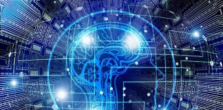 Информация. Интеллект