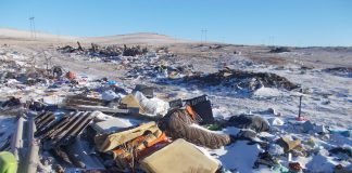 Свалка. Фото Пресс-службы Управления Россельхознадзора по РХ