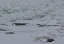 Фото: Абакан.рф