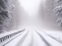 Метель, снег на дороге