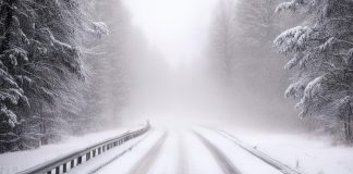 Метель, снег на дороге