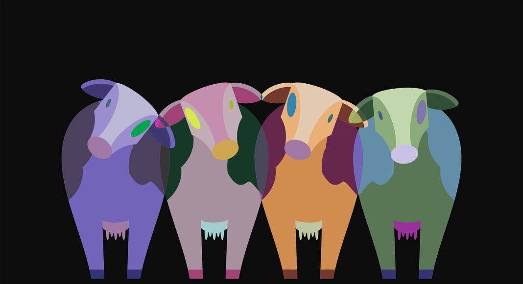 Коровы. Изображение из фотобанка