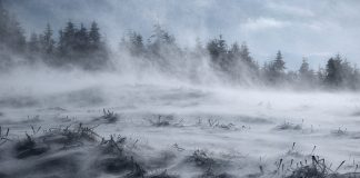 Прогноз погоды по Хакасии на 13 ноября Ветер. Зима. Изображение из фотобанка