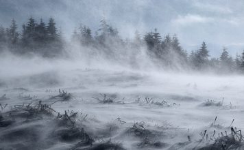 Прогноз погоды по Хакасии на 13 ноября Ветер. Зима. Изображение из фотобанка