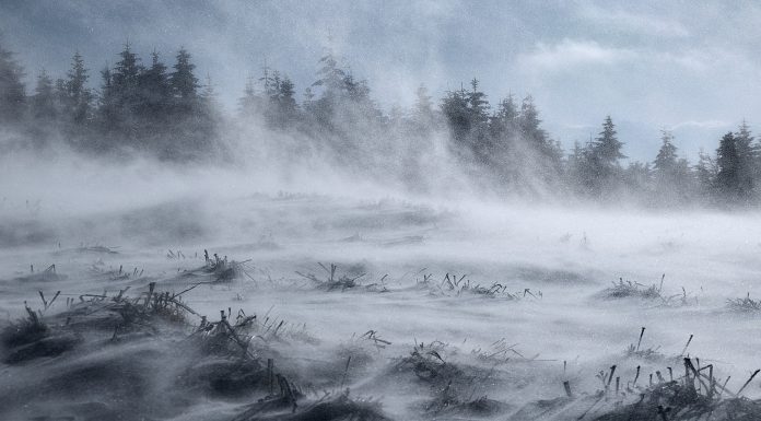 Ветер. Зима. Изображение из фотобанка