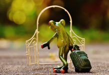 Прощай. Картинка из фотобанка