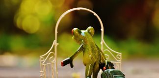 Прощай. Картинка из фотобанка