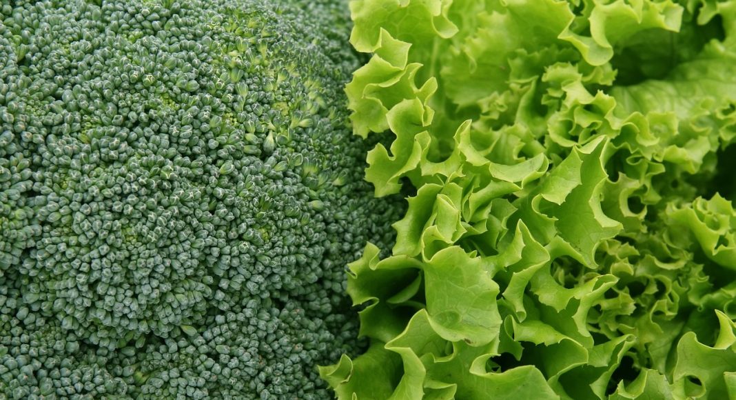 Зелень. Салат. Изображение из фотобанка