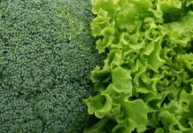 Зелень. Салат. Изображение из фотобанка