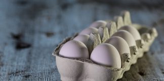 Куриное яйцо. Изображение из фотобанка