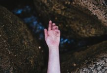 Изображение из фотобанка