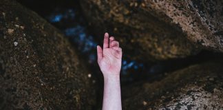 Изображение из фотобанка