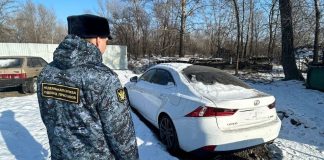 Фото предоставлено ФСПП