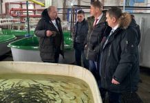 Сенатор Олег Земцов на Белоярском рыбзаводе